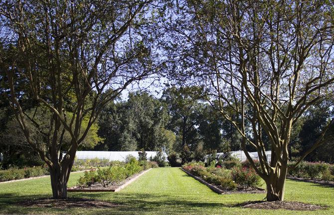 PHOTOS: LSU AgCenter Botanic Gardens