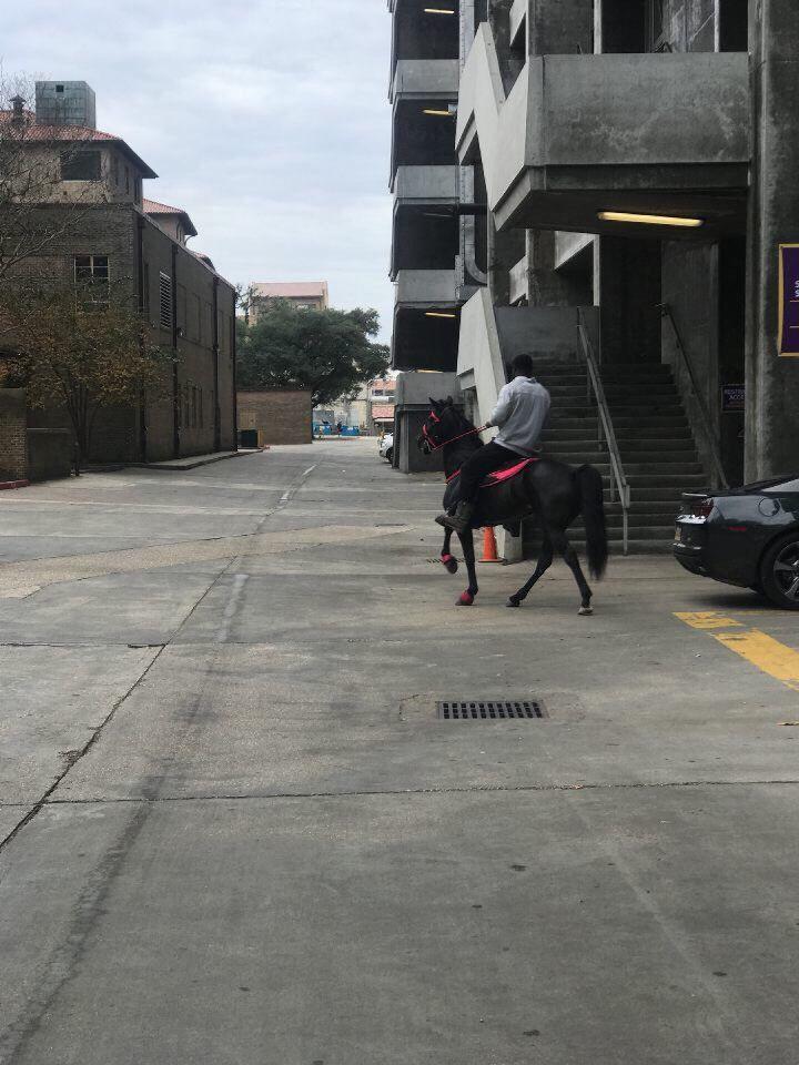 LSU linebacker Devin White trots on his horse, Daisy Mae, throughout campus and Tiger Stadium on Thursday, Nov. 29, 2018.