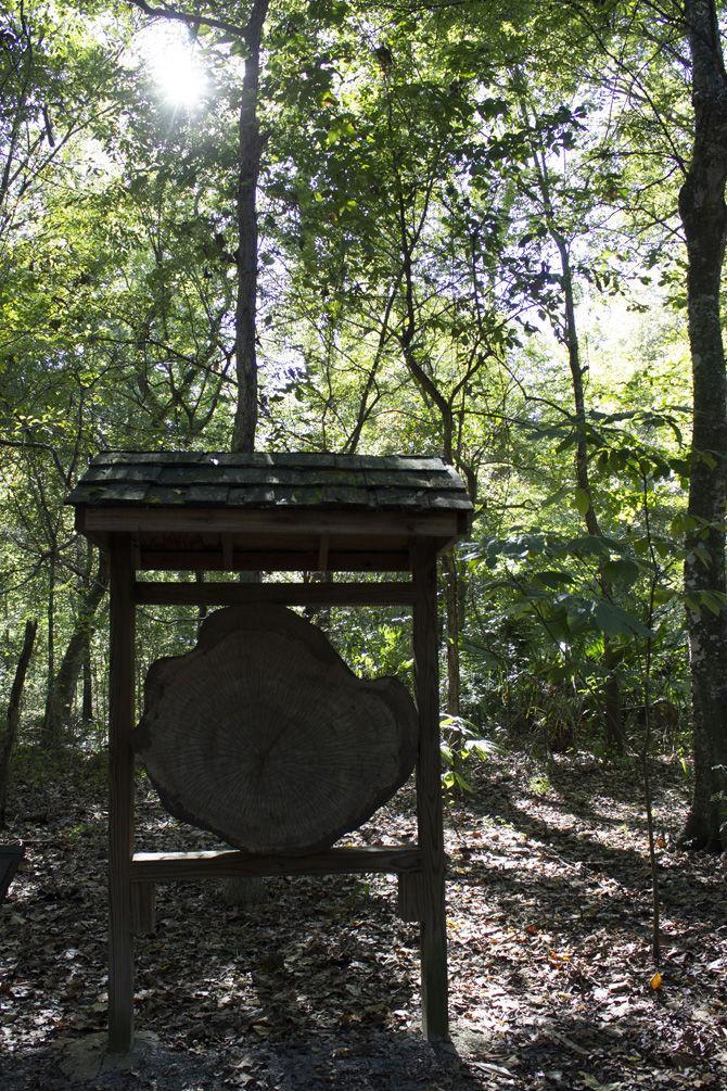 PHOTOS: LSU AgCenter Botanic Gardens