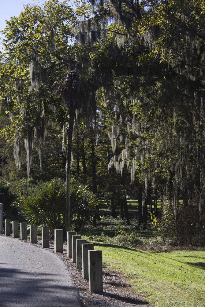 PHOTOS: LSU AgCenter Botanic Gardens