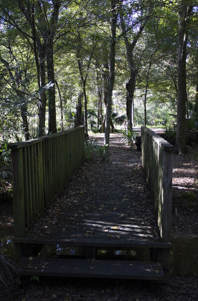 PHOTOS: LSU AgCenter Botanic Gardens