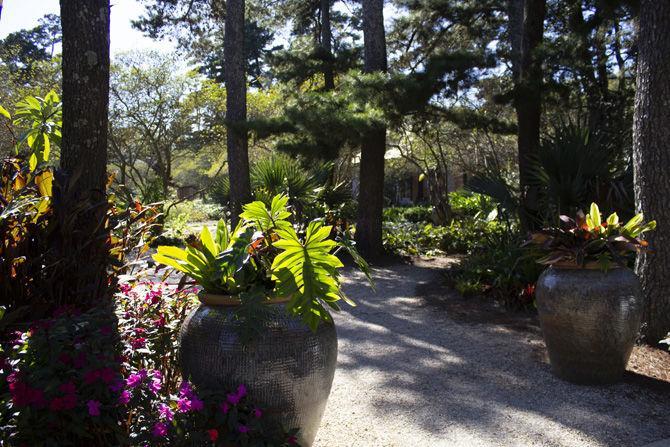 PHOTOS: LSU AgCenter Botanic Gardens