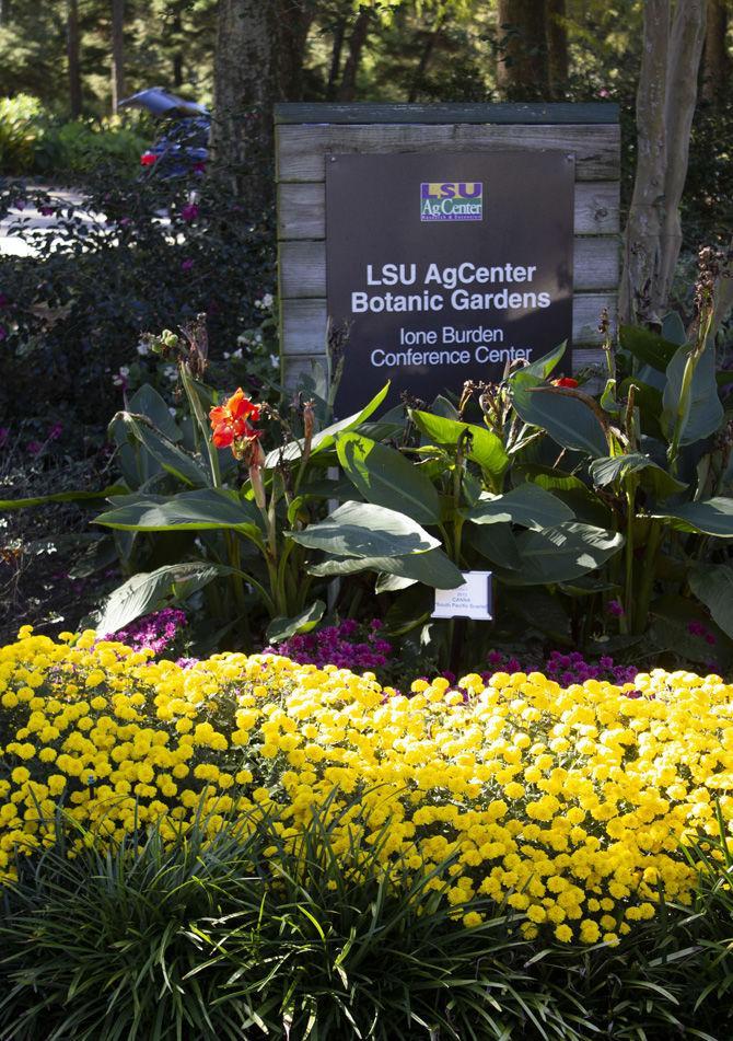 PHOTOS: LSU AgCenter Botanic Gardens