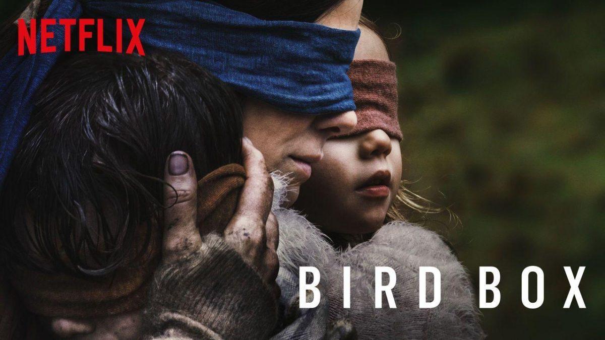 bird box image