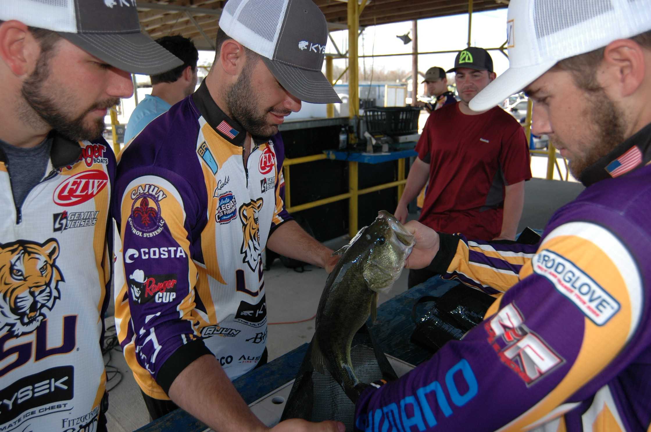 LSU bass fishing team fishing for more members