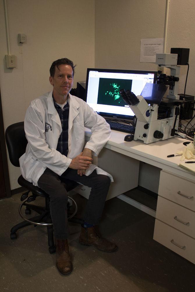 LSU pathobiological sciences research assistant professor Paul Rider sits inside of the LSU Veterinary Teaching Hospital on Friday, Jan. 18, 2019.