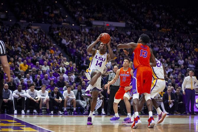 PHOTOS: LSU Basketball vs Florida