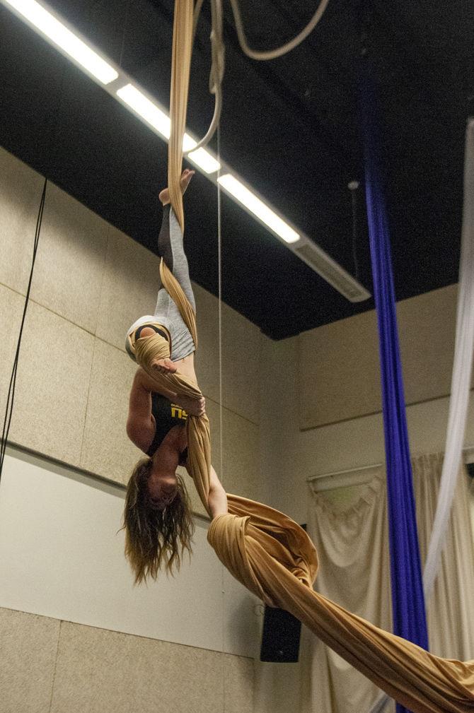 LSU Aerial Silks showcases local art talent, Prof. Erickson gives insight