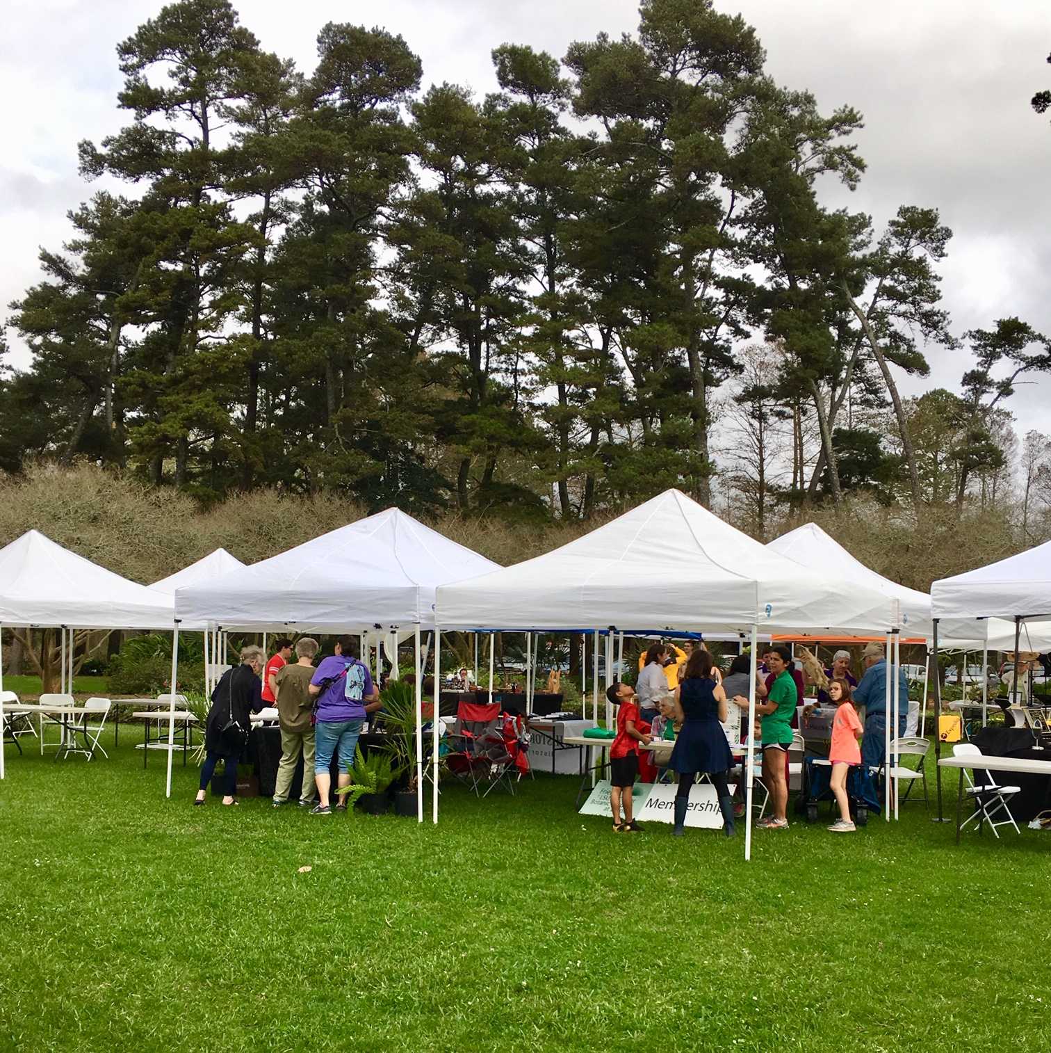 Herb Day educates visitors about uses and benefits of herbs