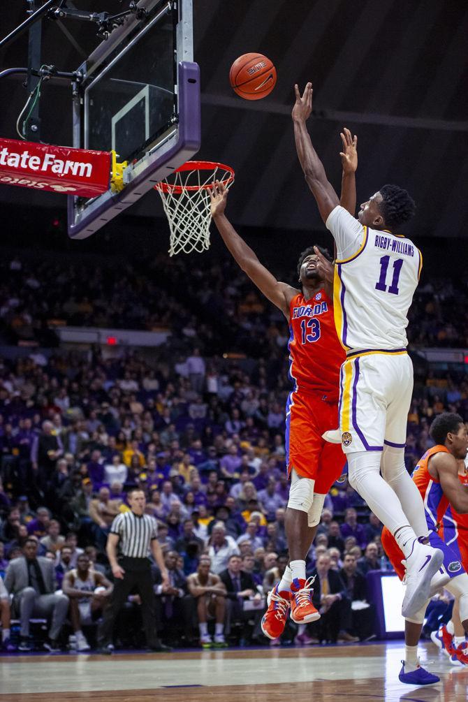 PHOTOS: LSU Basketball vs Florida