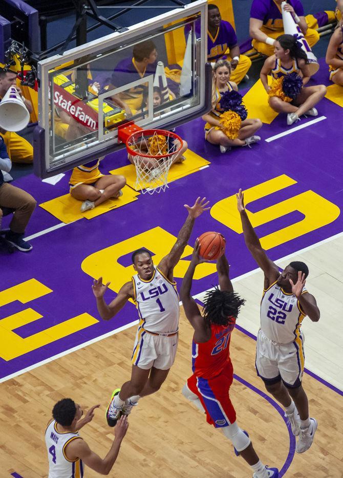 PHOTOS: LSU Basketball vs Florida