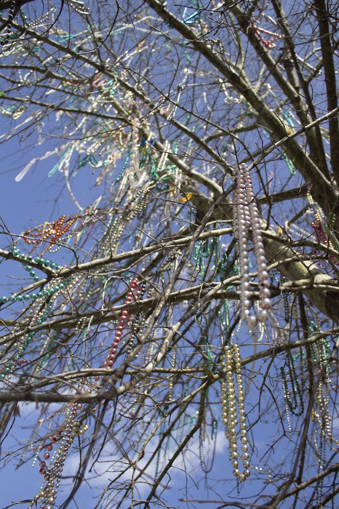 PHOTOS: Mardi Gras Decor