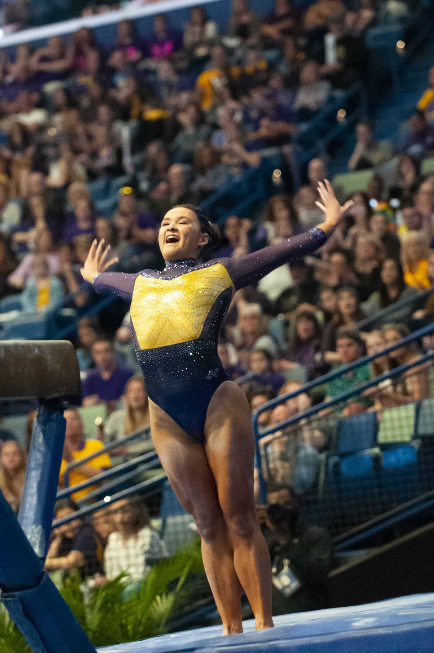 LSU places first in the SEC Gym Championships