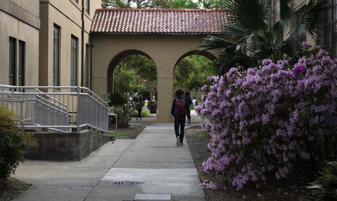 PHOTOS: Green LSU