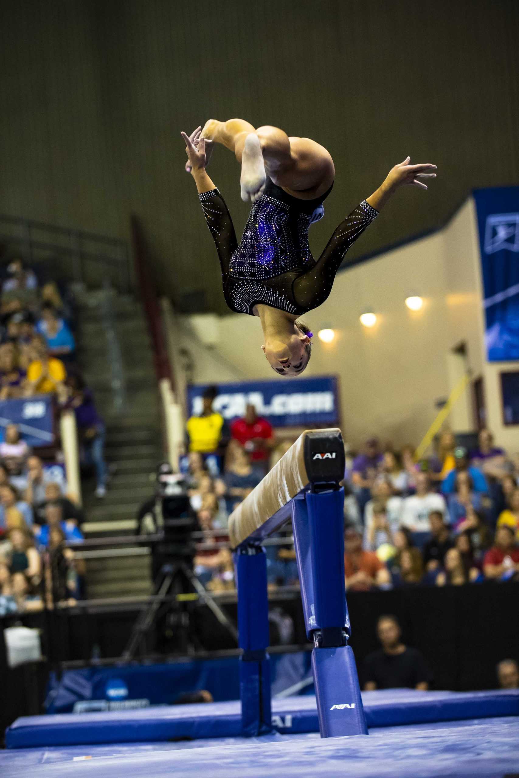 2019 NCAA Women&#8217;s Gymnastics Championships