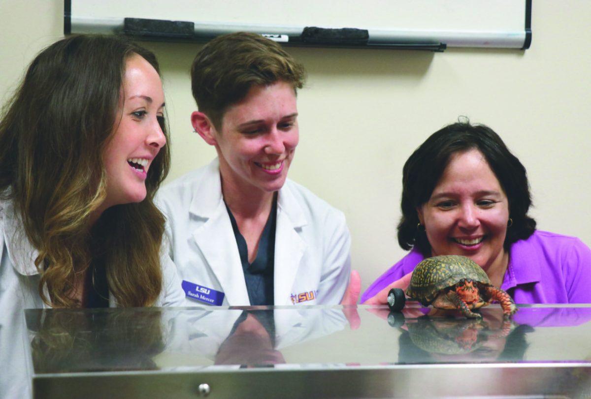 (left to right) Zoological medicine intern Kelly Rockwell, veterinary student Sarah Mercer and owner Sandra Traylor look at Pedro as he uses his new wheels.