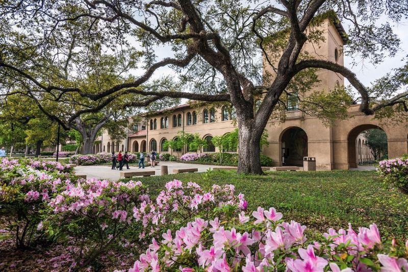 lsu