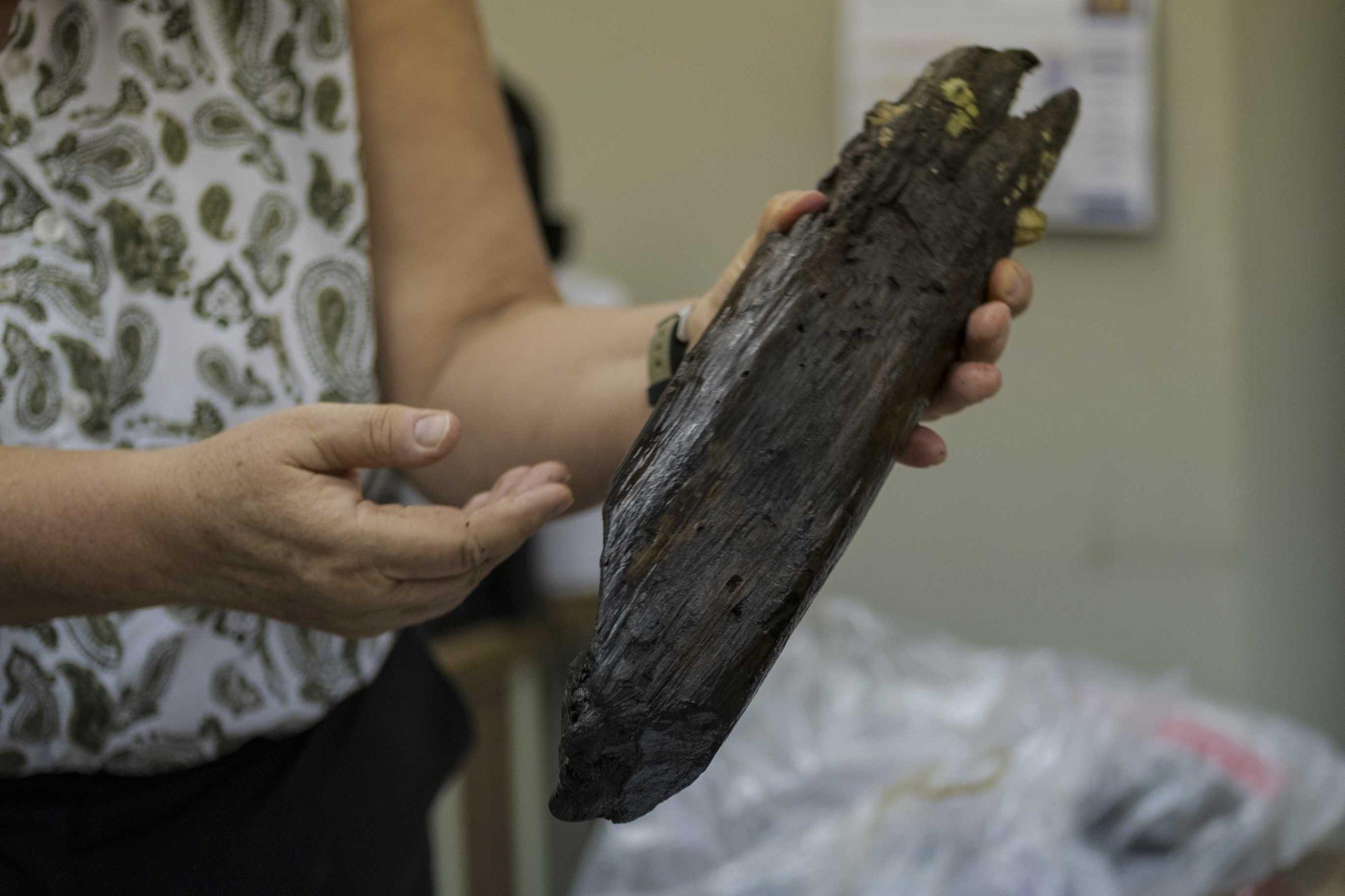 PHOTOS: LSU Finds Mayan Tools in Belize