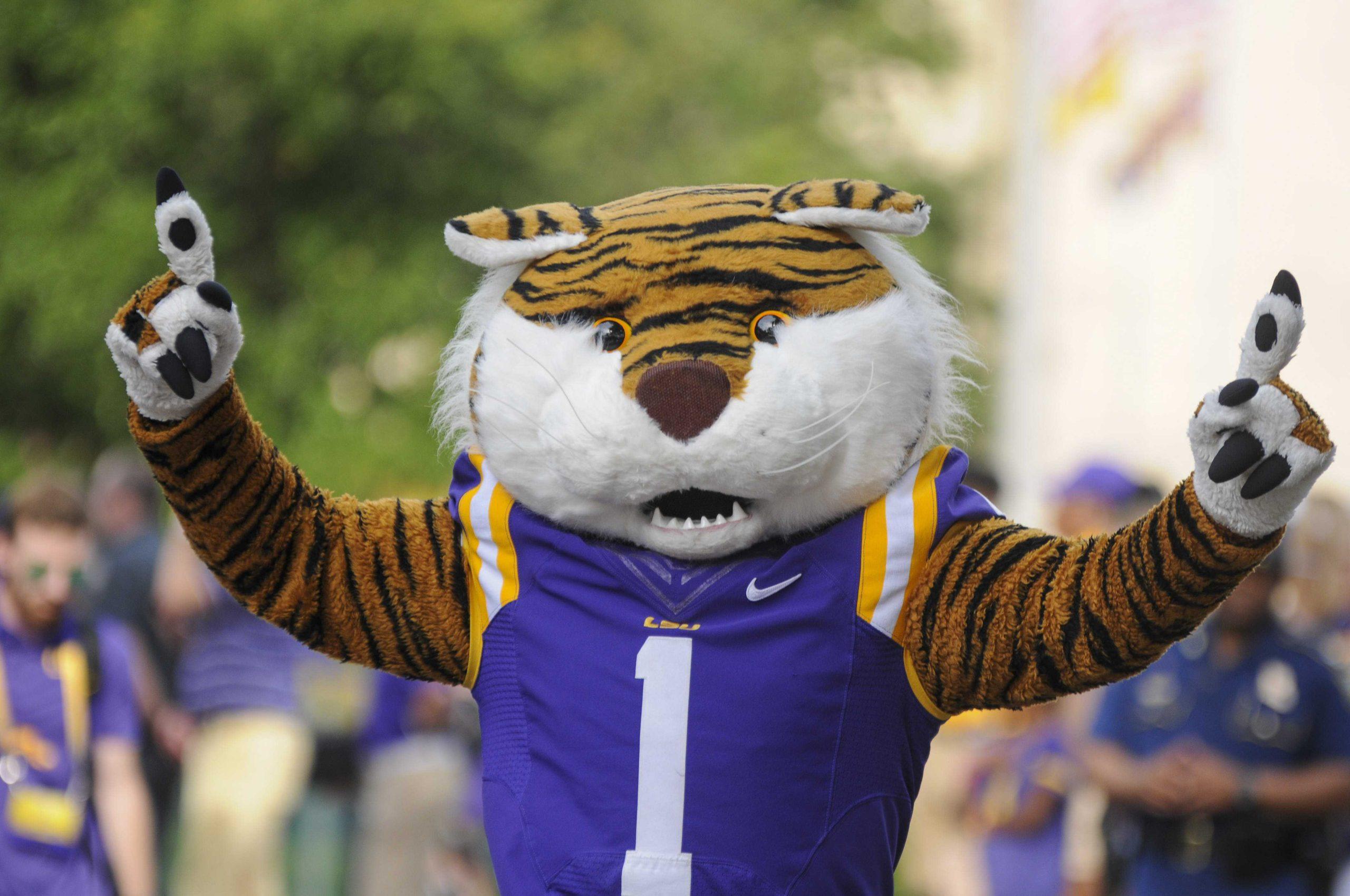 PHOTOS: LSU vs NSU, Walk Down Victory Hill