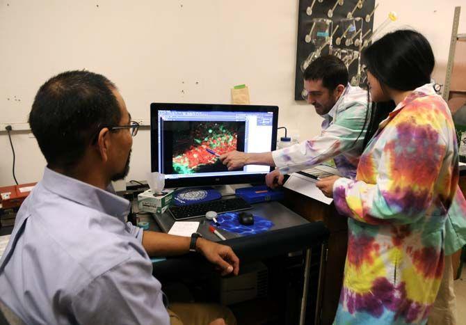 Biology Professor Dr. Ryoichi Teruyama, BRCC biology sophomore Ryan LeBlanc, and LSU biochemistry senior Katie Huang look at microscopic images of an alligator brain Wednesday Nov. 12, 2014 in the Life Science building.