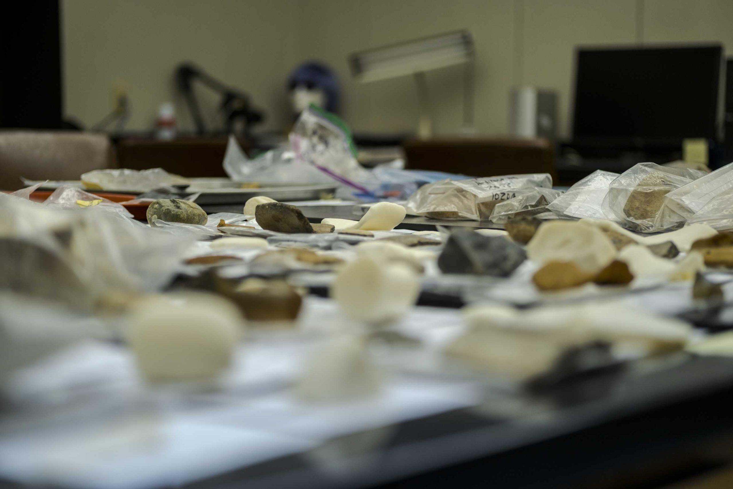 PHOTOS: LSU Finds Mayan Tools in Belize