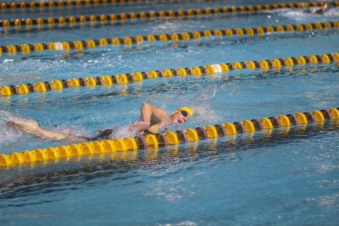 Swimming, diving separated by extensive, complex differences both in, out pool