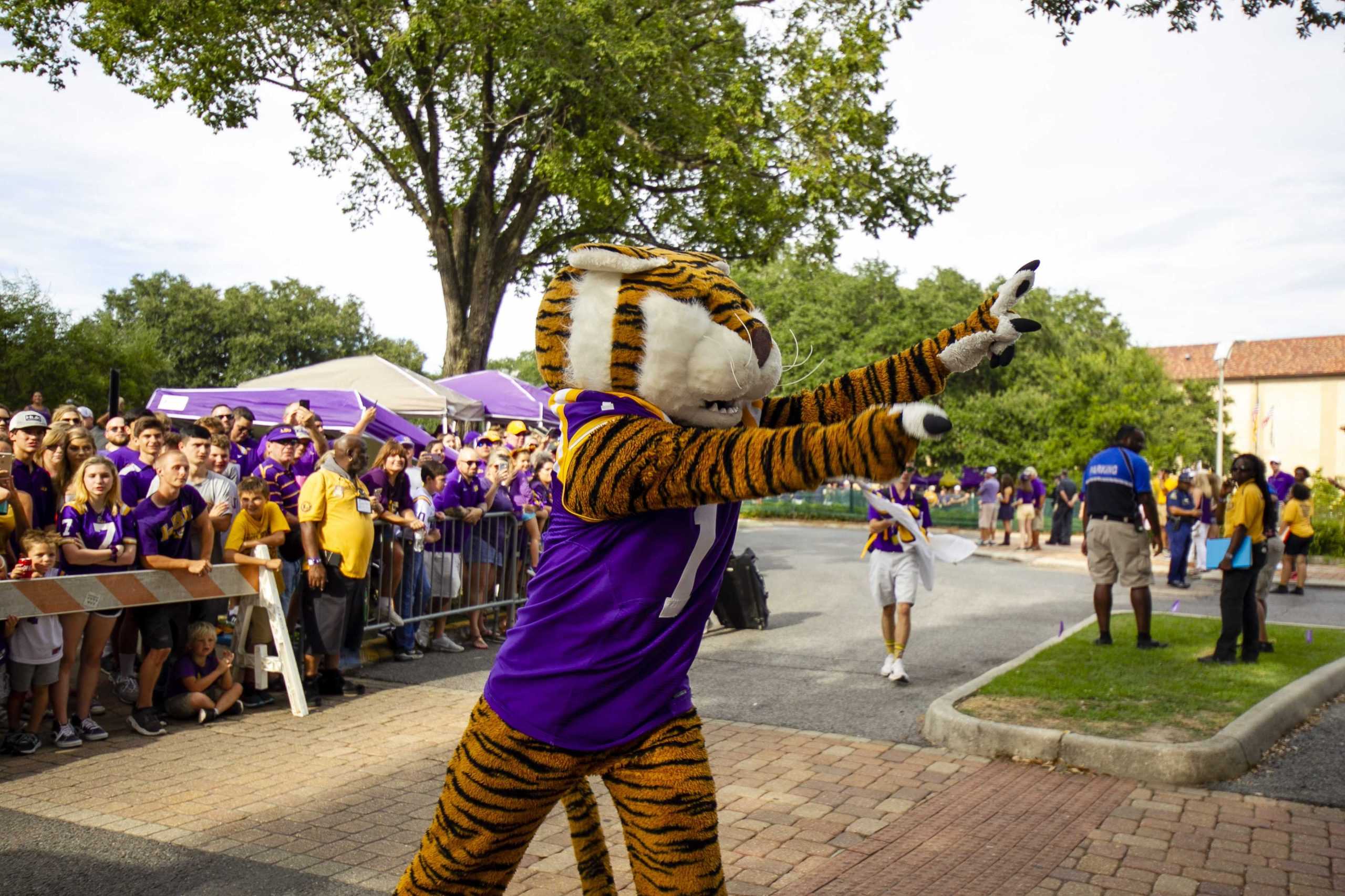 PHOTOS: LSU vs NSU, Walk Down Victory Hill