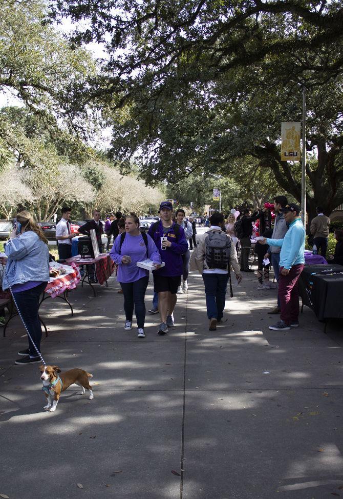 Free Speech Alley is located directly in front of the LSU Student Union on Thursday, Feb. 14, 2019.