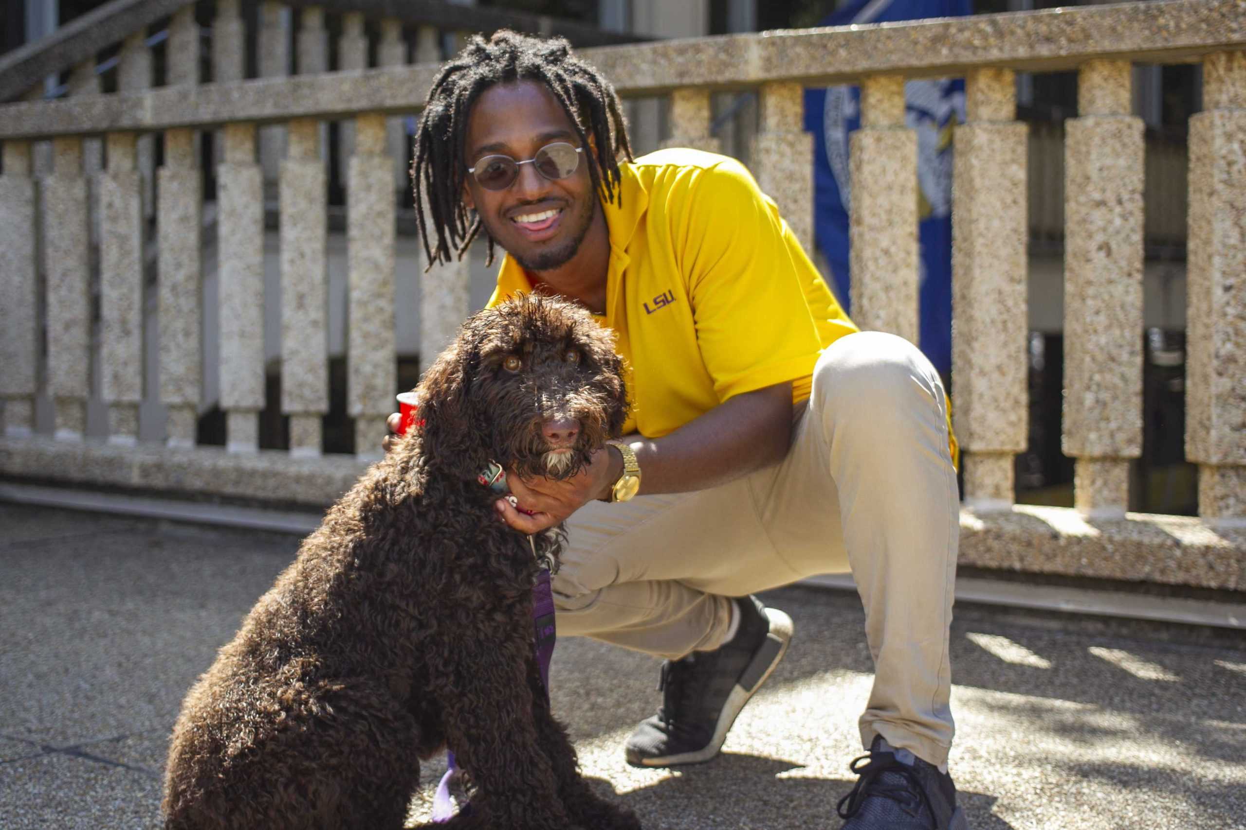 PHOTOS: Dogs on Game Day