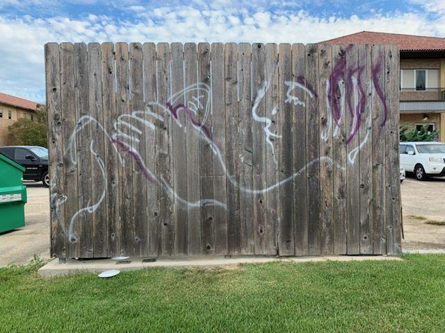 Graffiti, which seems to illustrate a person performing oral sex, is currently located on a fence that covers equipment behind the Dairy Science building.&#160;