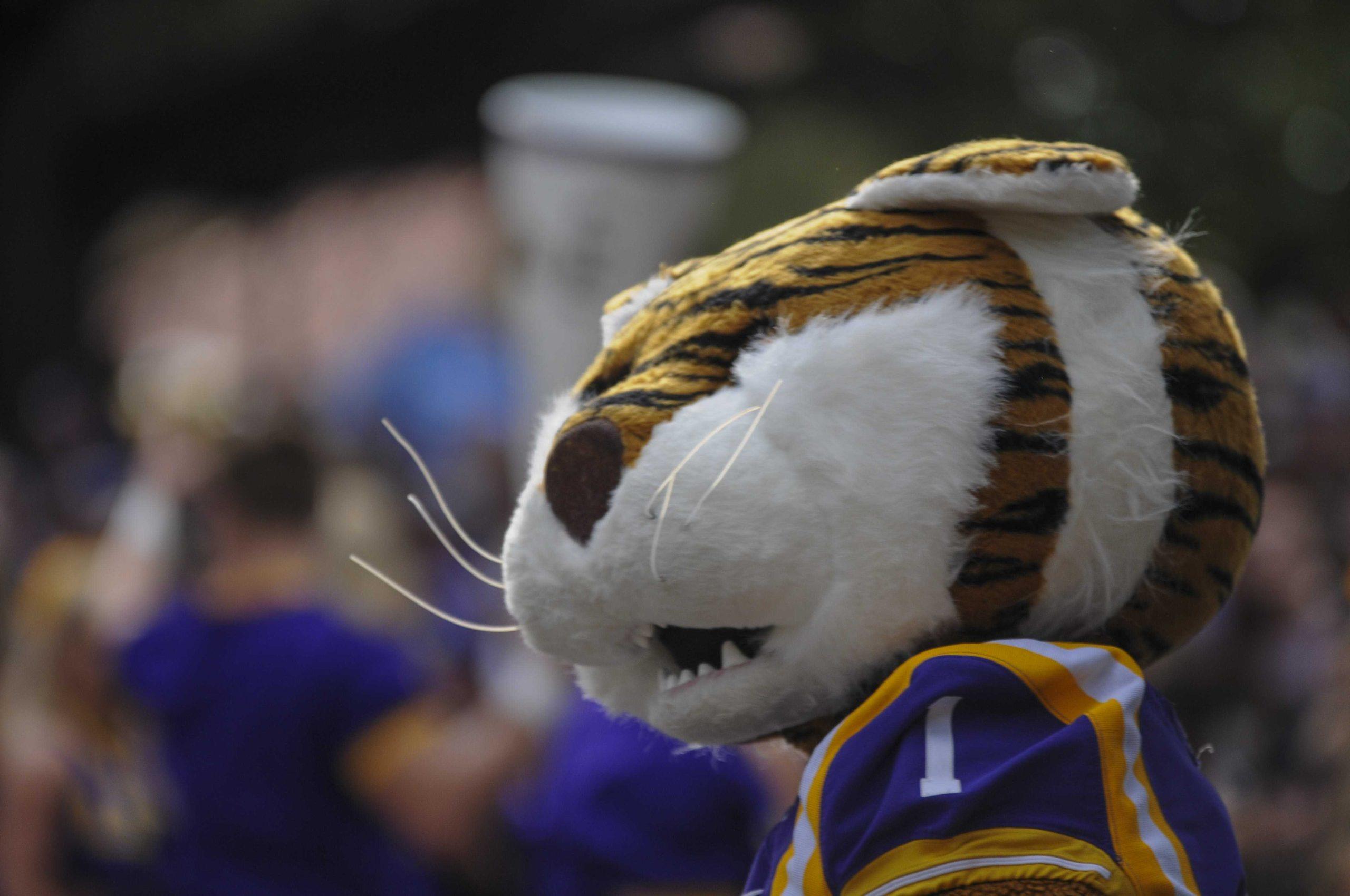 PHOTOS: LSU vs NSU, Walk Down Victory Hill