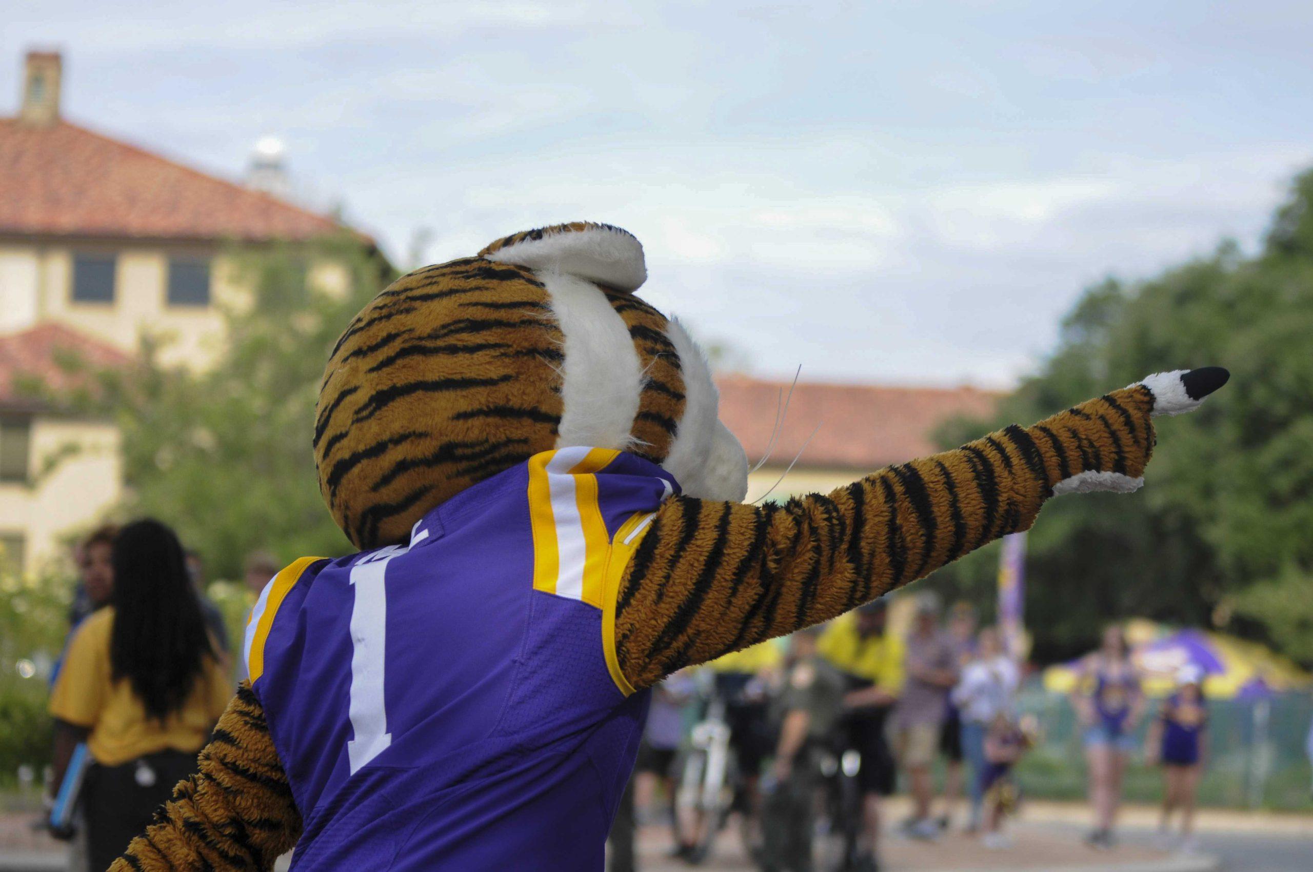 PHOTOS: LSU vs NSU, Walk Down Victory Hill