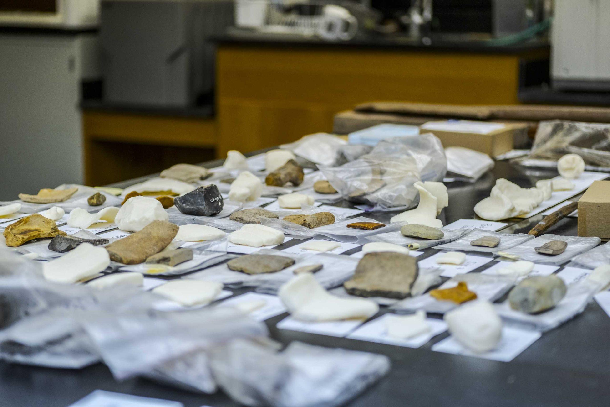 PHOTOS: LSU Finds Mayan Tools in Belize