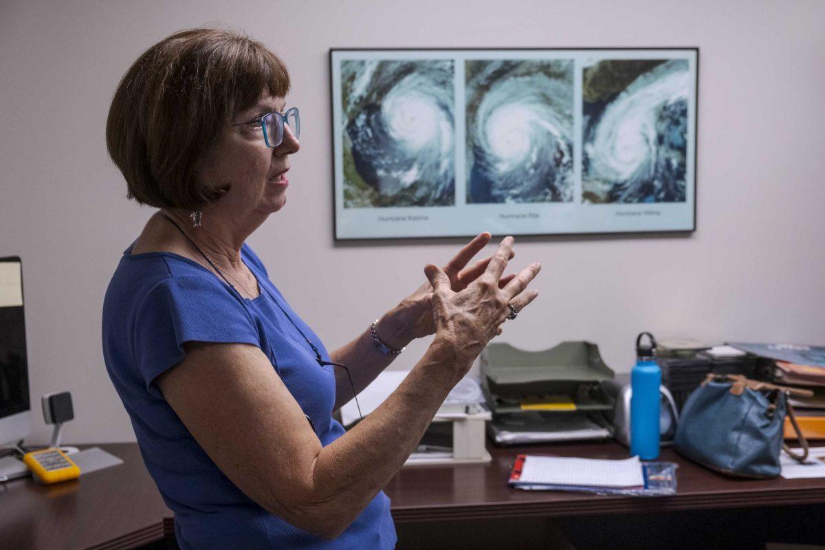 LSU Earth Scan Laboratory Director Dr. Nan Walker discusses her work on Wednesday, Sept. 4, 2019, in the Earth Scan Laboratory.