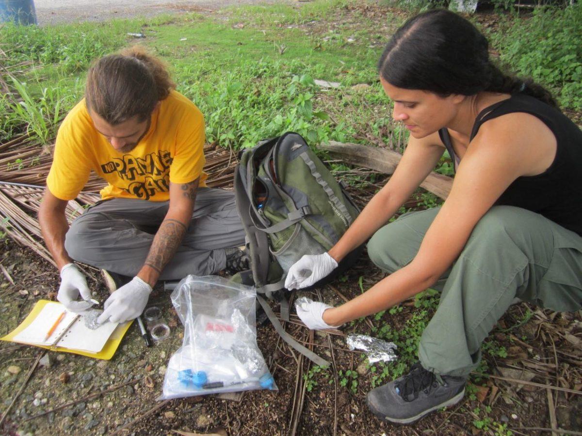 Environmental Sciences Assistant Professor Rebeca de Jesus Crespo conducts research.