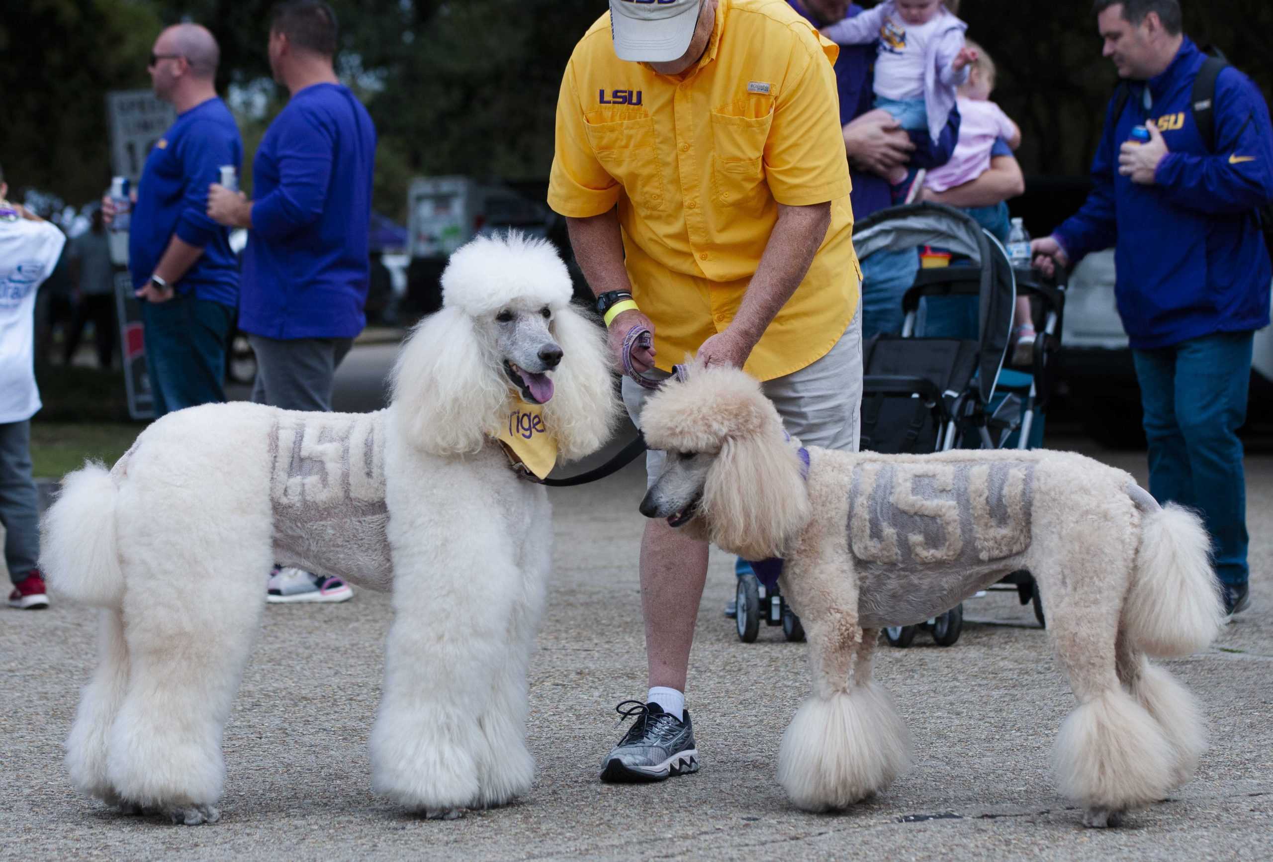 PHOTOS: LSU Homecoming Parade 2019