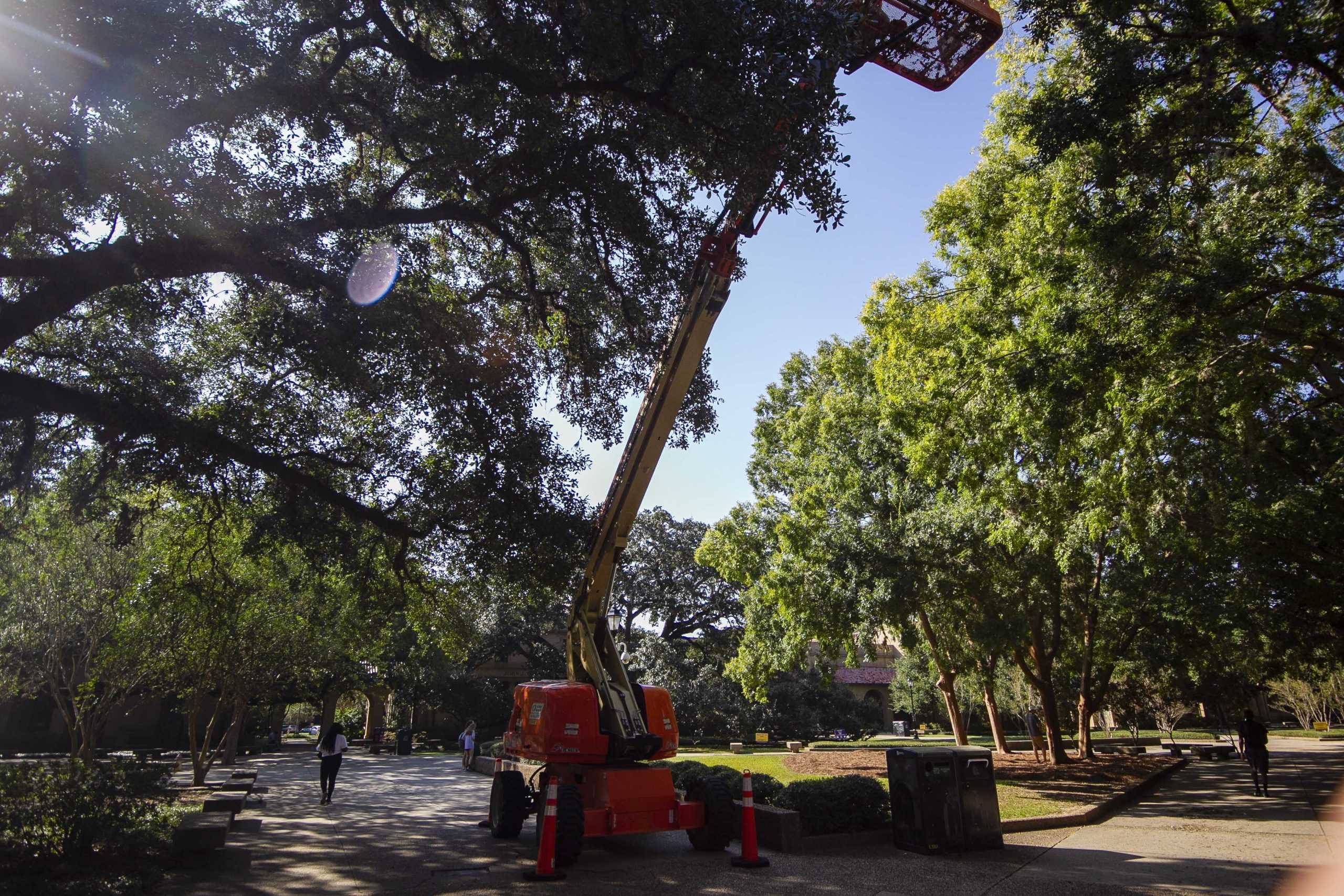 PHOTOS: College Gameday Begins