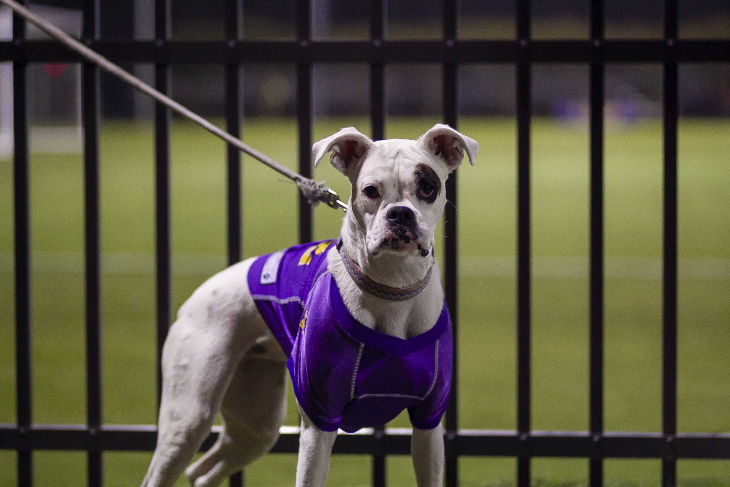 PHOTOS: LSU Soccer ties Mississippi State