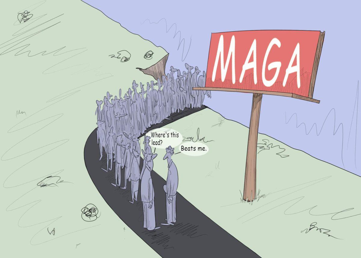 President Trump's supporters following him off the "MAGA" cliff