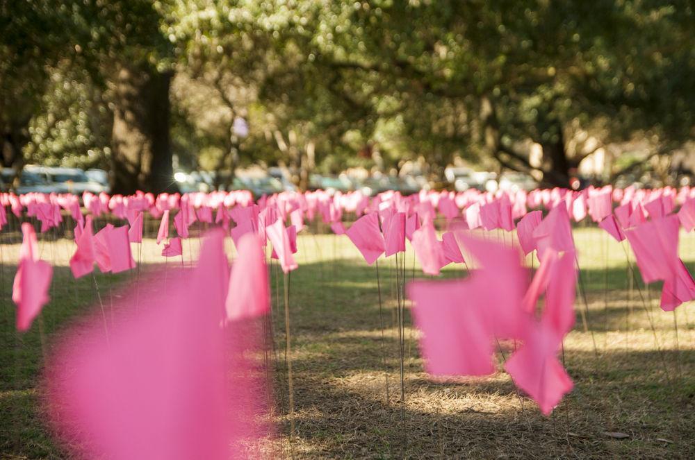 The LSU Pro-Life club displays flags each representing an abortion done in one day by Planned Parenthood on Nov. 13, 2017, on the LSU Parade Ground.