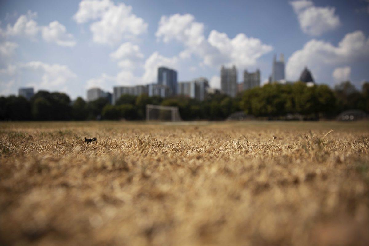 Dry grass from a lack of rain lays beneath the Midtown skyline in Atlanta, Thursday, Oct. 3, 2019. Scientists say more than 45 million people across 14 Southern states are now in the midst of a drought that's cracking farm soil, drying up ponds and raising the risk of wildfires. (AP Photo/David Goldman)