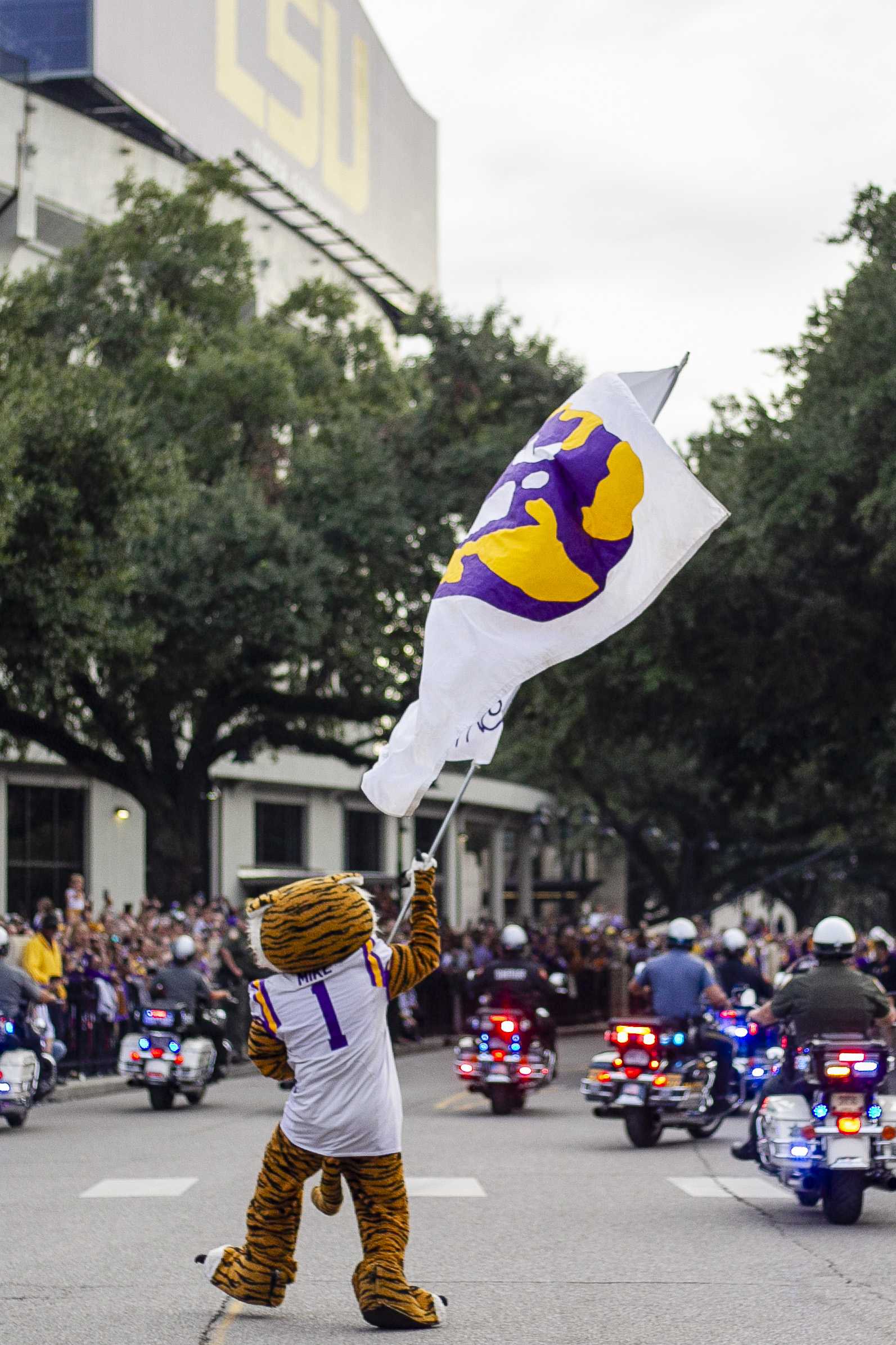 PHOTOS: LSU vs Florida March Down Victory Hill