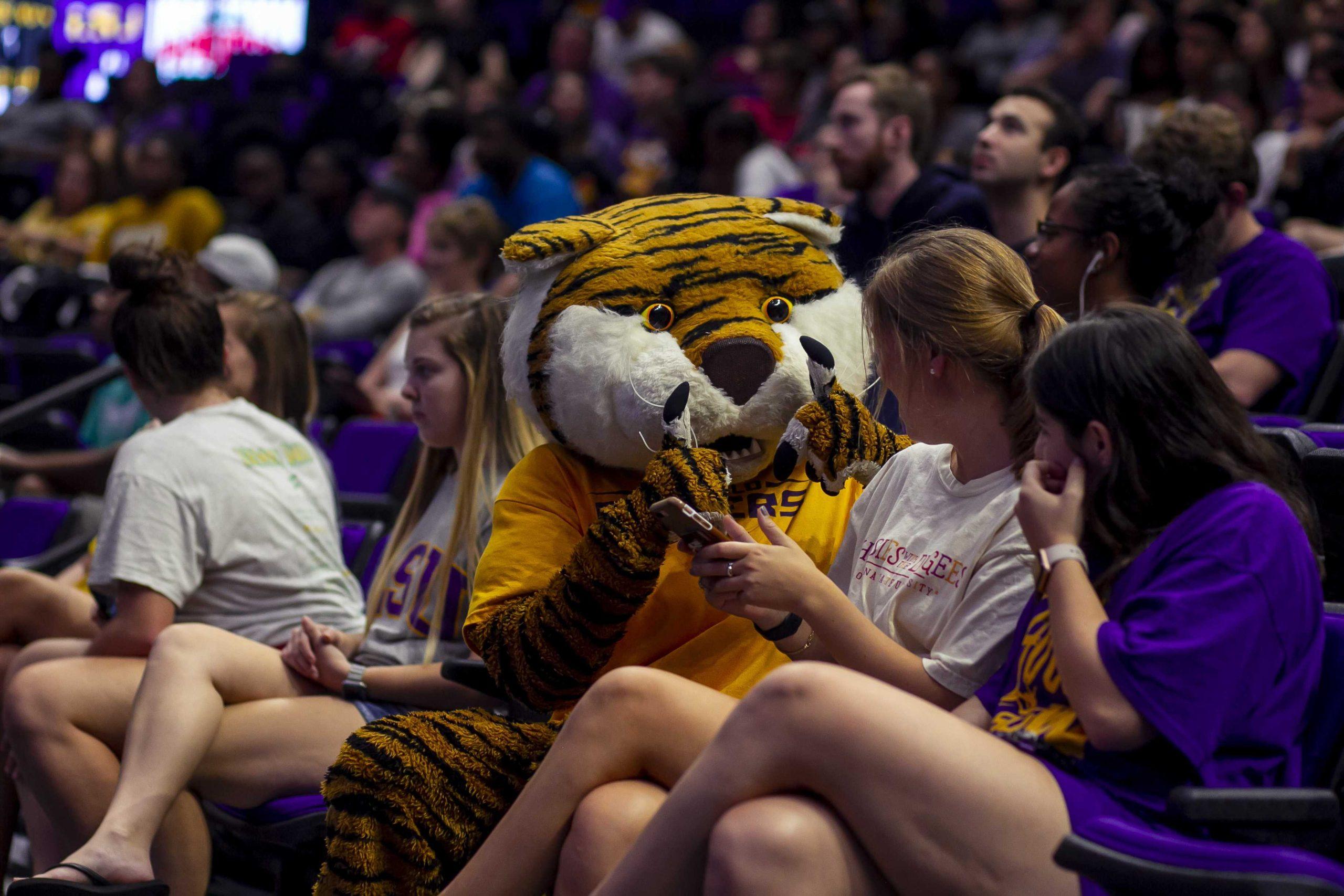 PHOTOS: LSU falls to Missouri