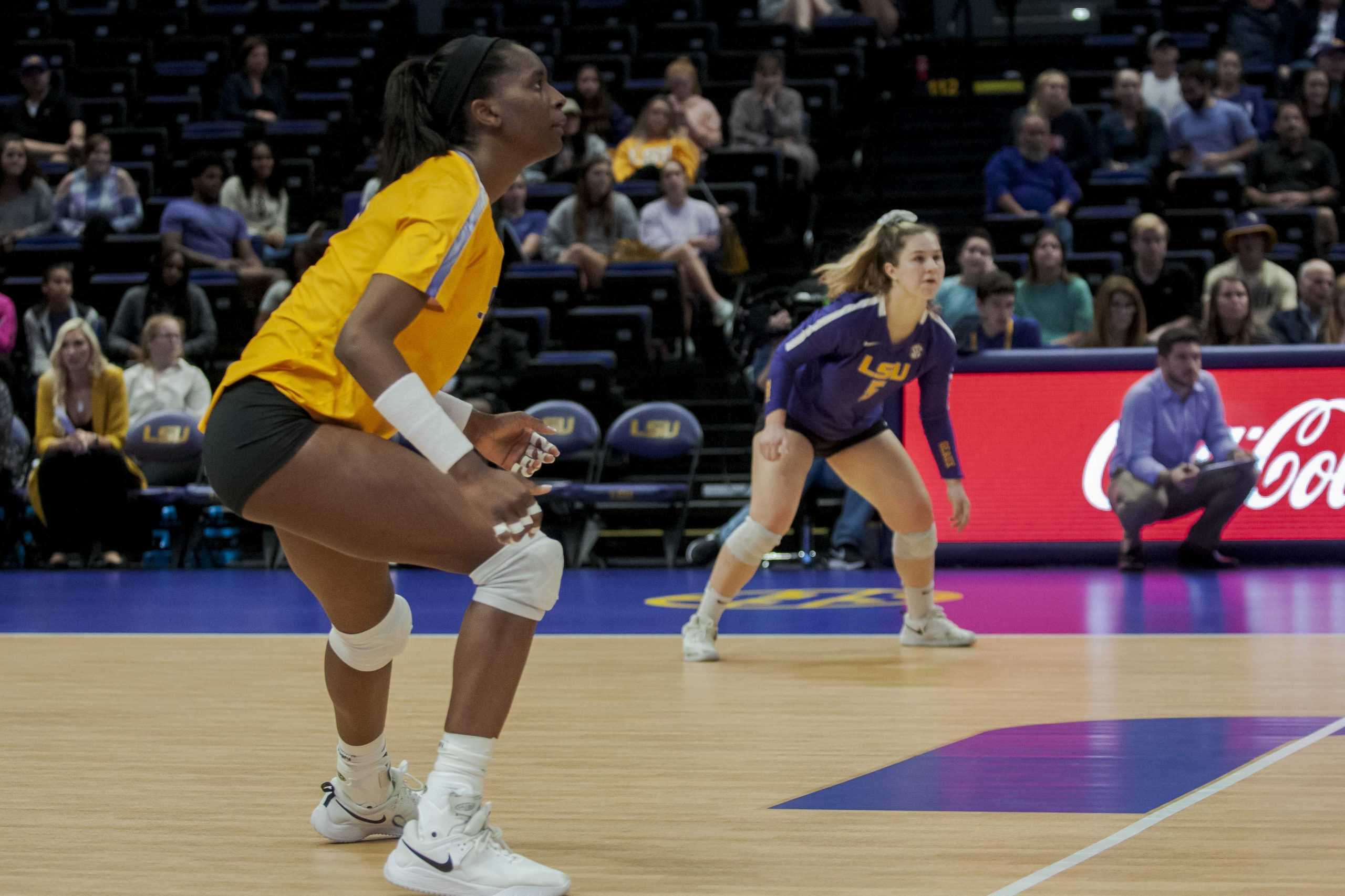 PHOTOS: LSU Women's Volleyball Defeats Auburn