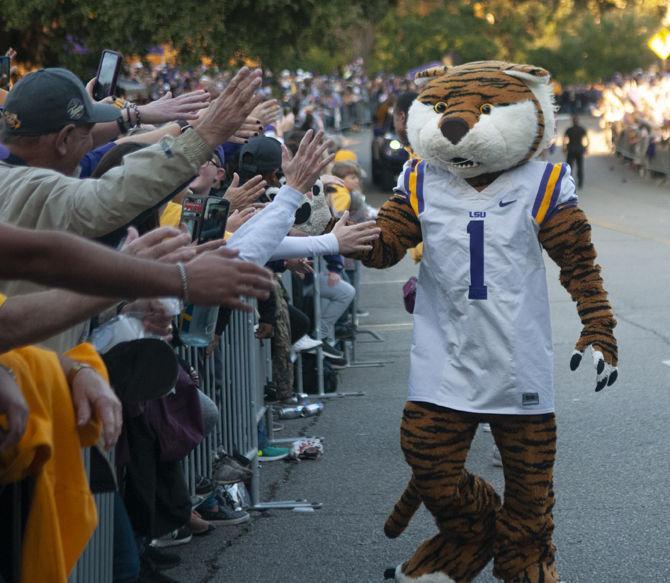 PHOTOS: Walk Down Victory Hill LSU vs. Arkansas