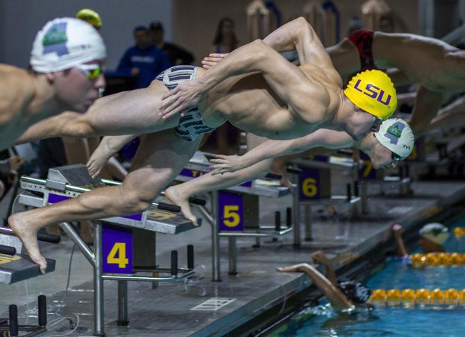 LSU sophomore Brian McGroarty swims the 200-yard freestyle event during the Tigers' victory in the LSU Natatorium, on Saturday, Jan. 12, 2019.