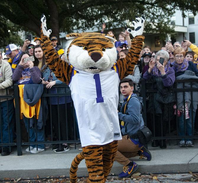 PHOTOS: Walk Down Victory Hill LSU vs. Arkansas