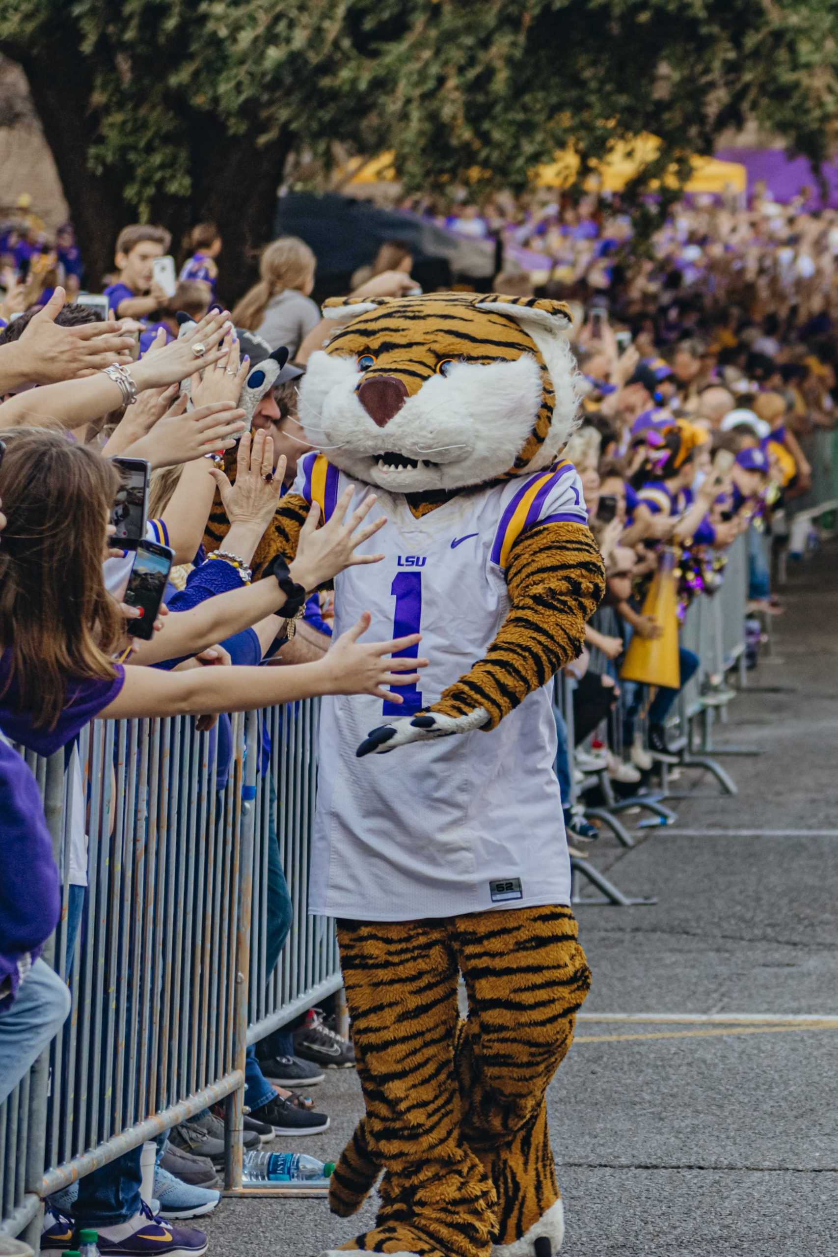 PHOTOS: LSU Walks Down Victory Hill