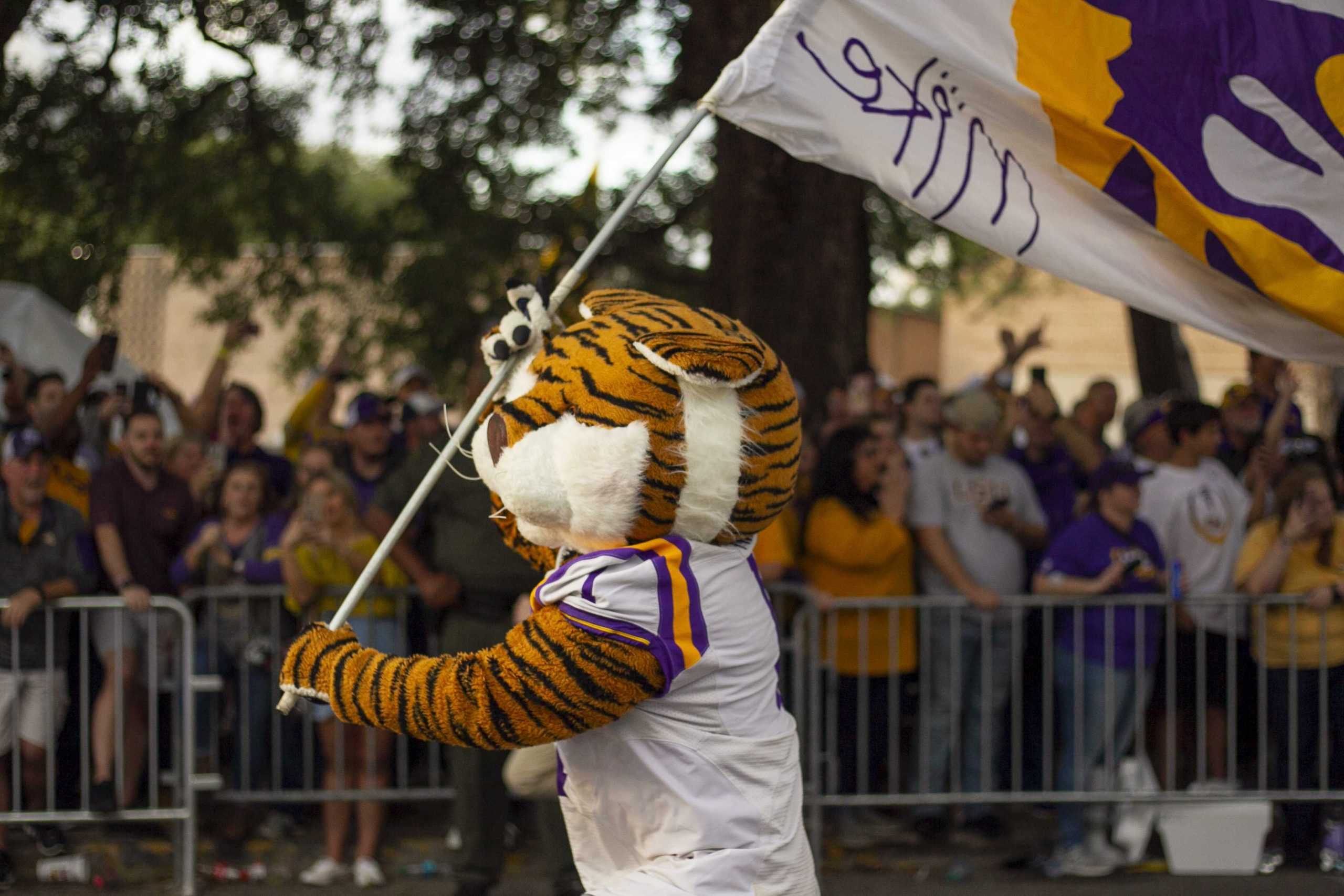 PHOTOS: LSU Walks Down Victory Hill