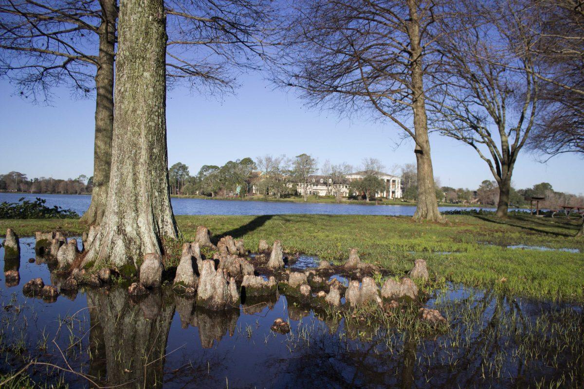 Six lakes surround LSU's Campus in Baton Rouge on Friday, Jan. 24, 2020.